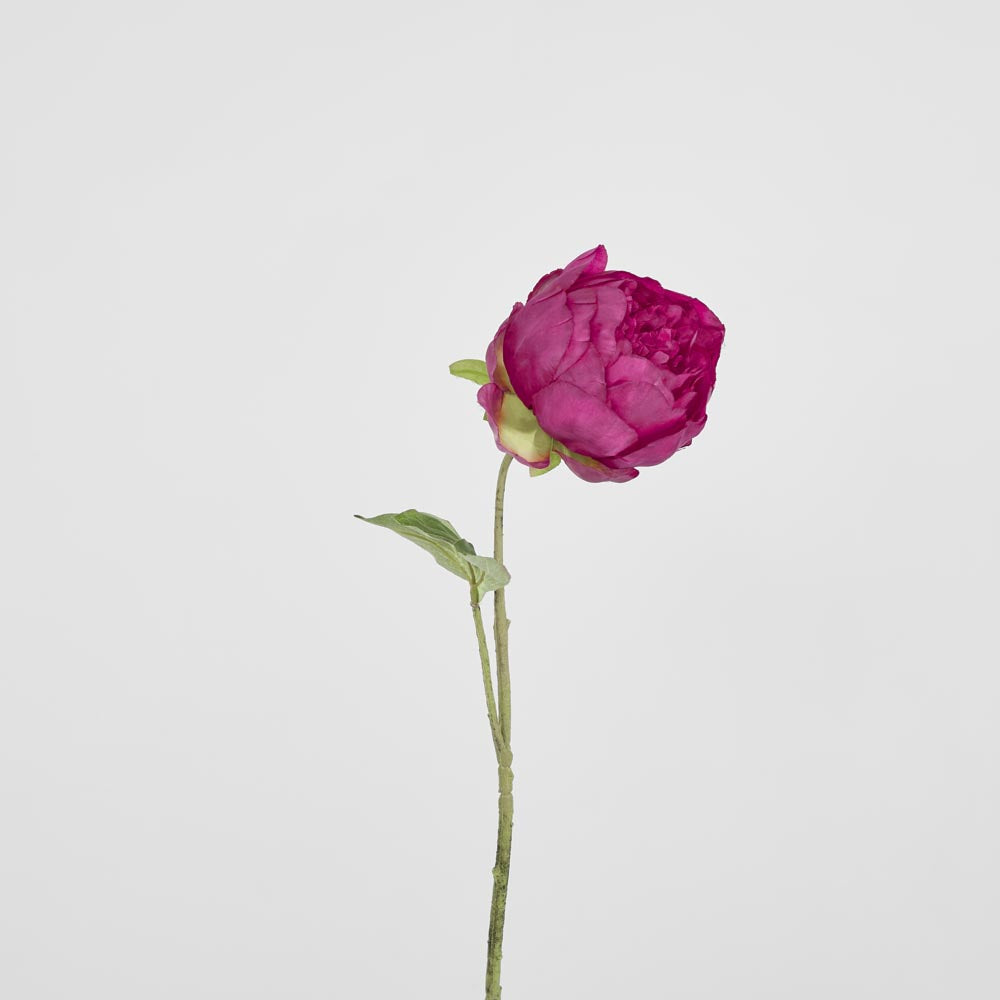 Peony Spray 60cm Fuchsia 6 pcs
