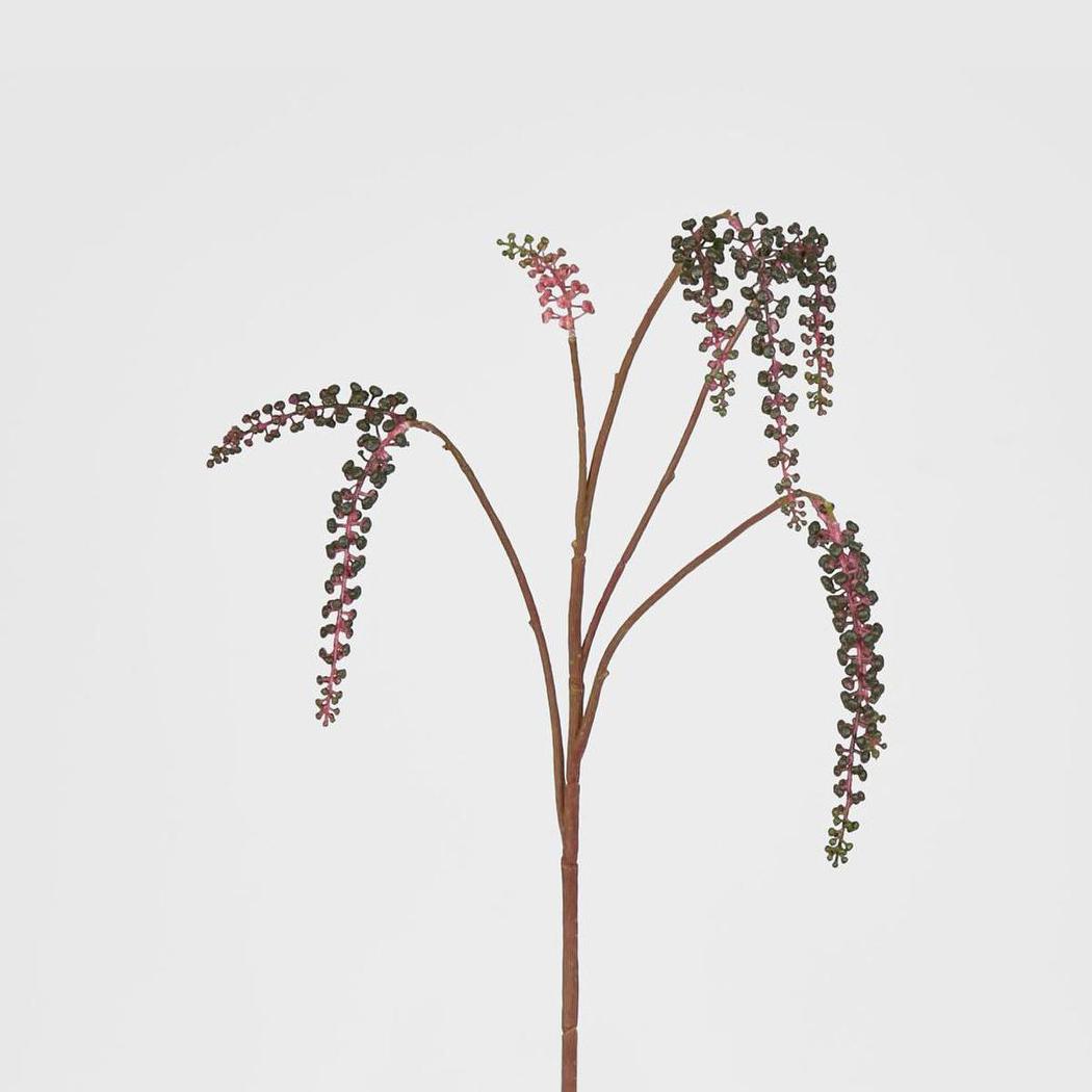 Phytolacca Americana Spray 6 pcs
