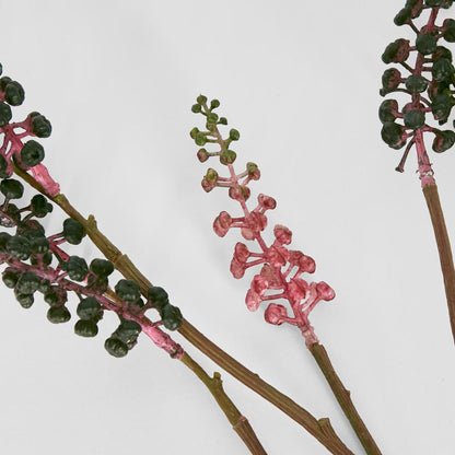 Phytolacca Americana Spray 6 pcs
