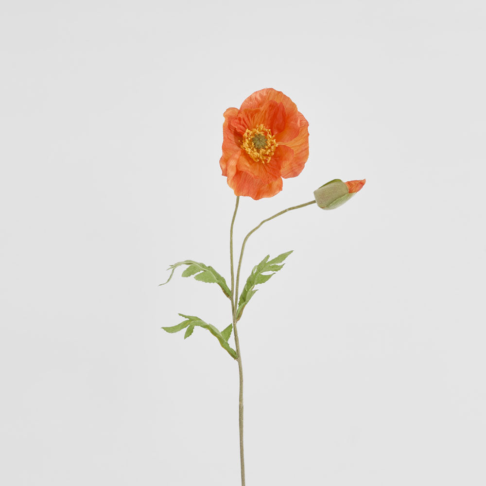 Poppy Stem 68cm Orange 6 pcs