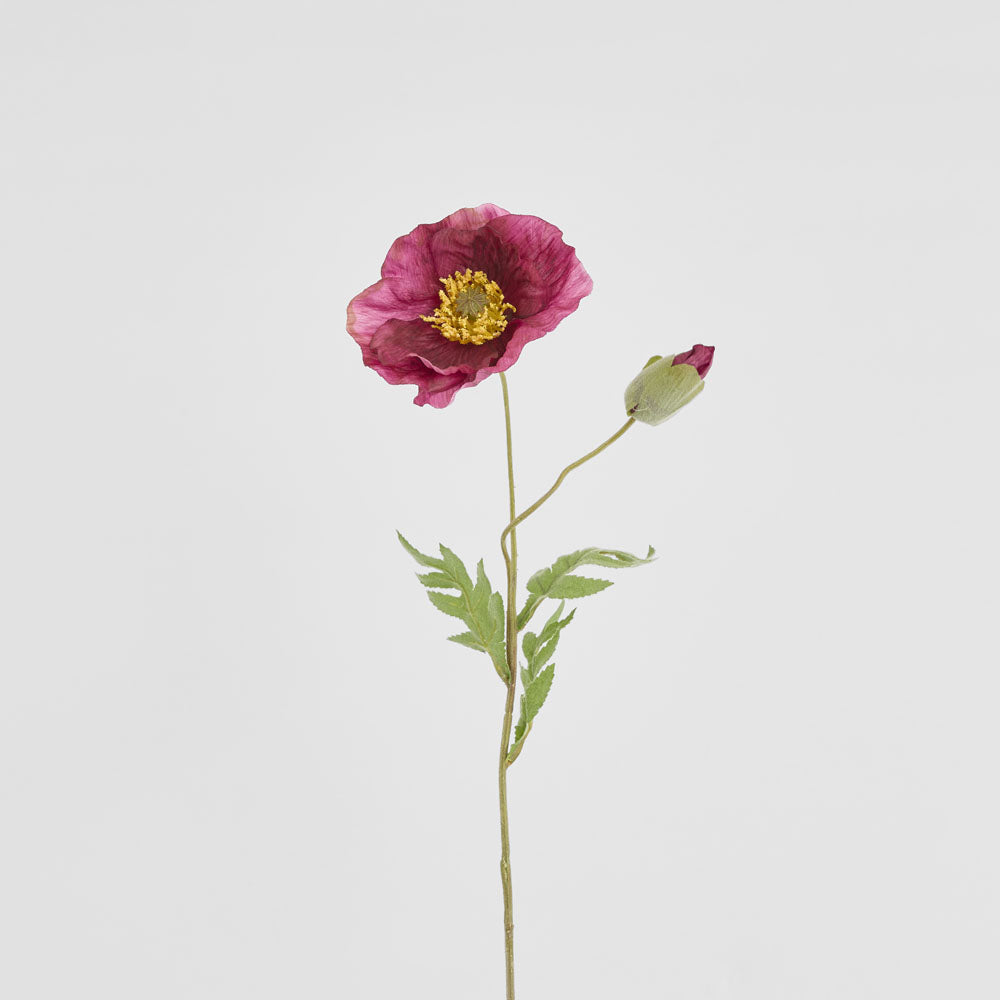 Poppy Stem 68cm Plum 6 pcs