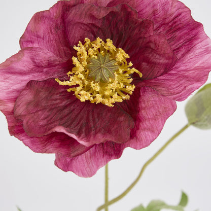 Poppy Stem 68cm Plum 6 pcs