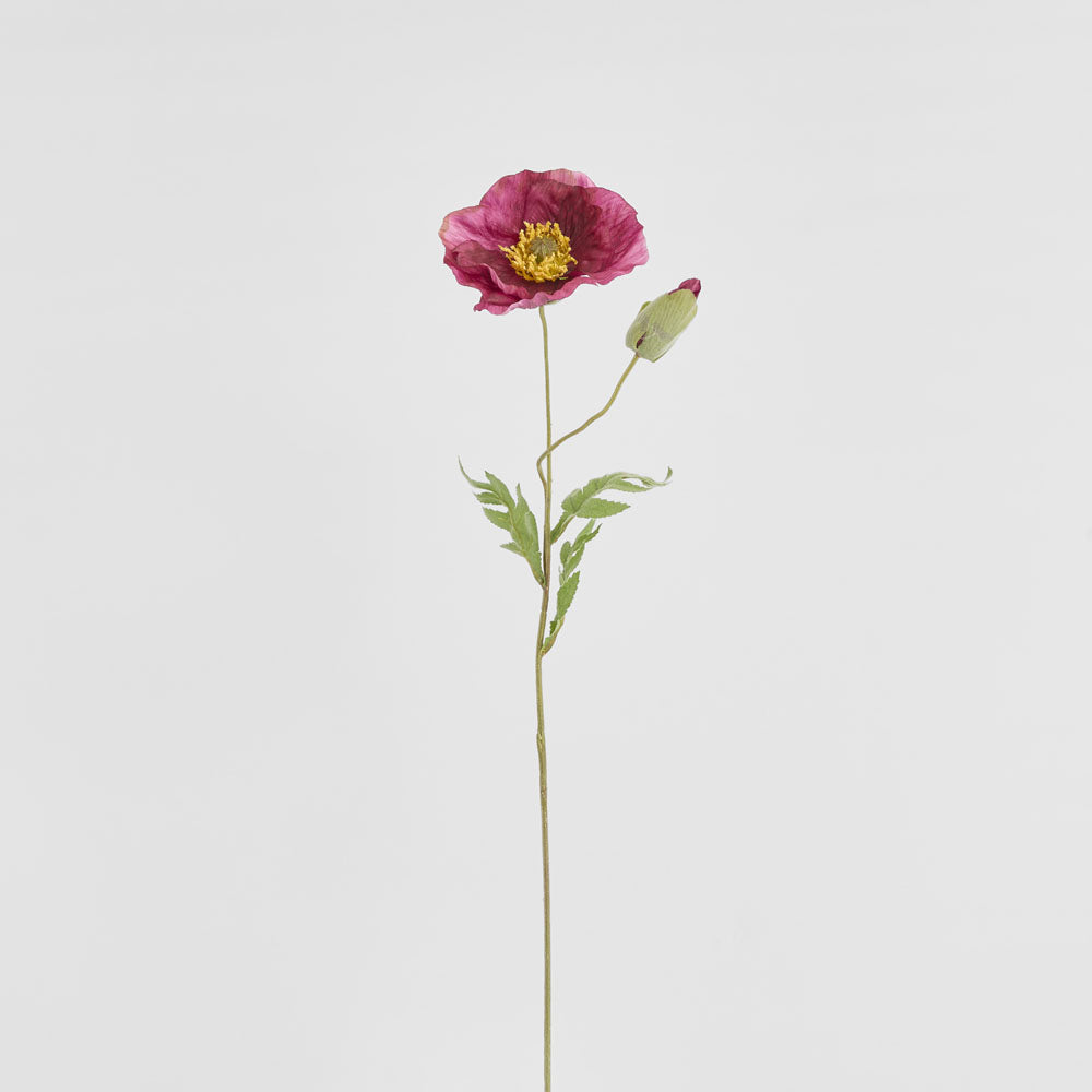 Poppy Stem 68cm Plum 6 pcs
