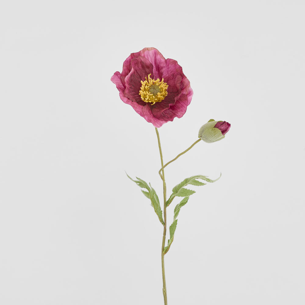 Poppy Stem 68cm Plum 6 pcs