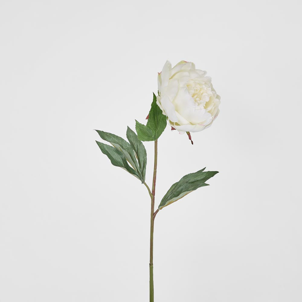 Peony Half Open 70cm White