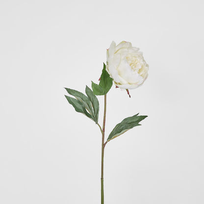 Peony Half Open 70cm White