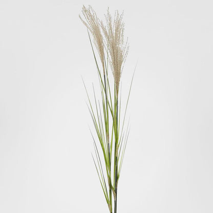 Pampas Grass Spray 1.1m 6 pcs