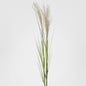 Pampas Grass Spray 1.1m 6 pcs