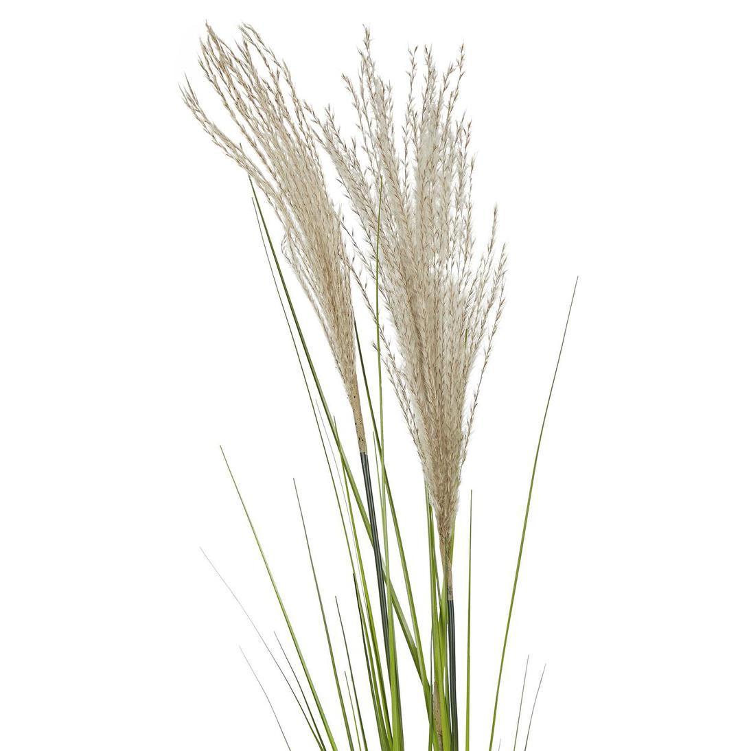 Pampas Grass Spray 1.1m 6 pcs
