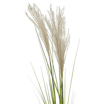 Pampas Grass Spray 1.1m 6 pcs