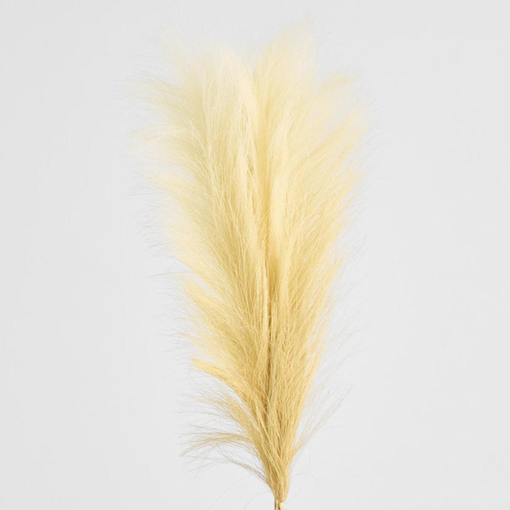 Pampas Spray 1.2m 3 pcs