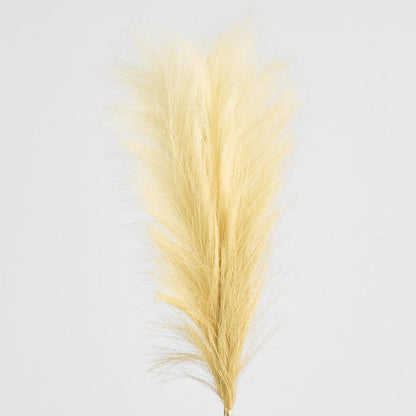Pampas Spray 1.2m 3 pcs