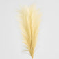 Pampas Spray 1.2m 3 pcs