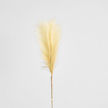 Pampas Spray 1.2m 3 pcs