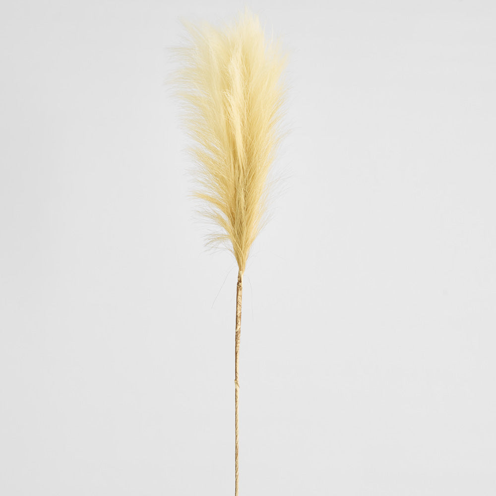 Pampas Spray 1.2m 3 pcs