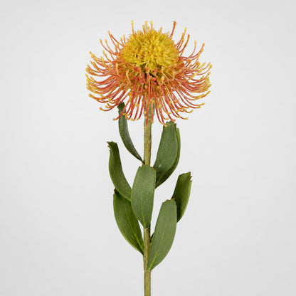 Pincushion Flower Stem 58cm Orange 6 pcs