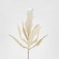 Feather Pampas Stem 87cm Cream 6 pcs