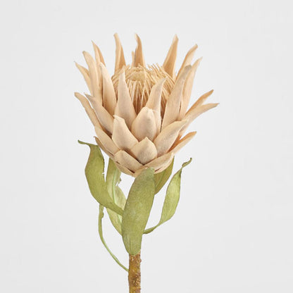 Dried Look Protea Stem 75cm Blush 6 pcs