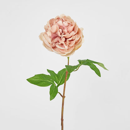 Dried Look Peony Stem 61cm Blush 6 pcs