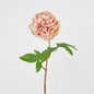 Dried Look Peony Stem 61cm Blush 6 pcs