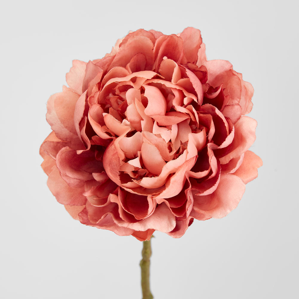 Peony Dark Pink 64cm 12 pcs