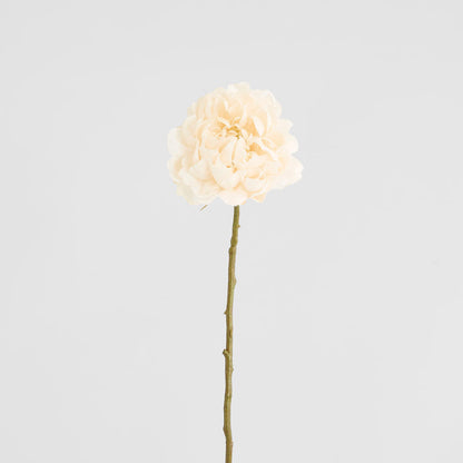 Peony White 64cm 12 pcs