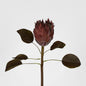 Dried Look Protea Stem with Leaves 60cm Brown 6 pcs