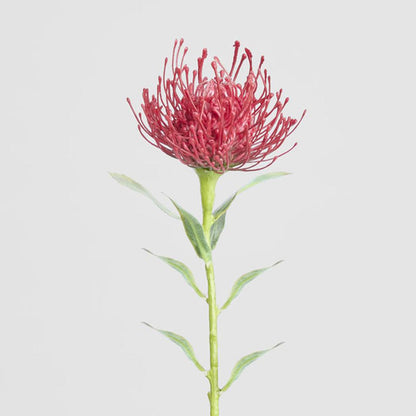 Pincushion Stem 63cm Red