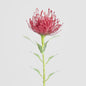 Pincushion Stem 63cm Red