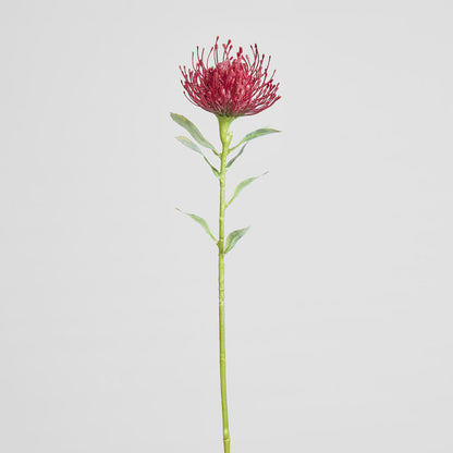 Pincushion Stem 63cm Red