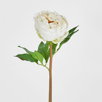 Peony Flower Real Touch Stem White Large 6 pcs