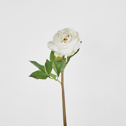 Peony Flower Real Touch Stem White Large 6 pcs