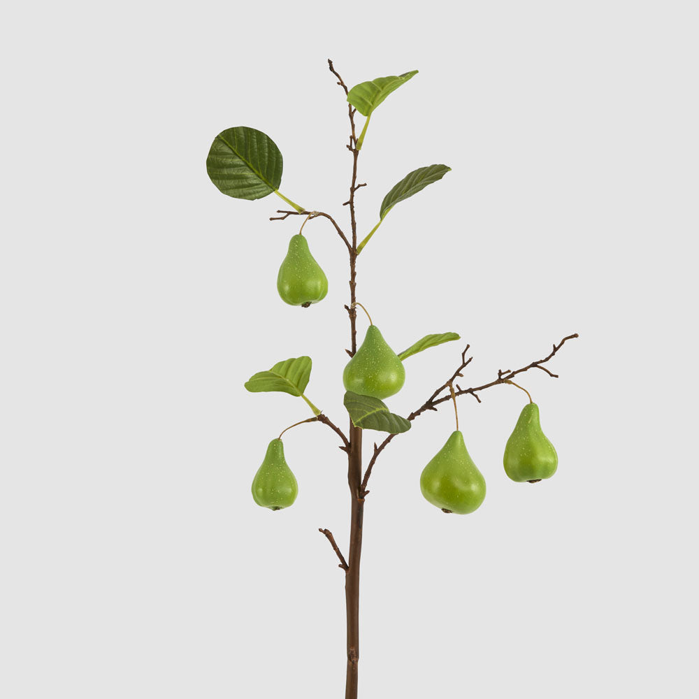 Pear Fruit Spray Green