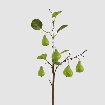 Pear Fruit Spray Green