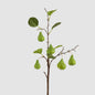 Pear Fruit Spray Green