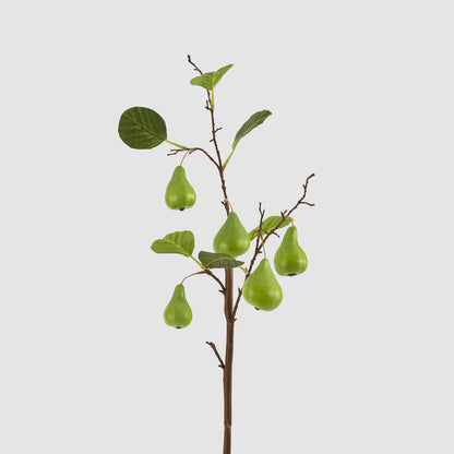 Pear Fruit Spray Green