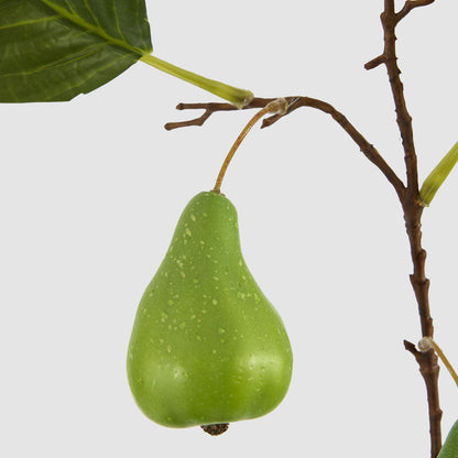 Pear Fruit Spray Green