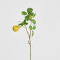 Pears Branch Spray Green 60cm 6 pcs