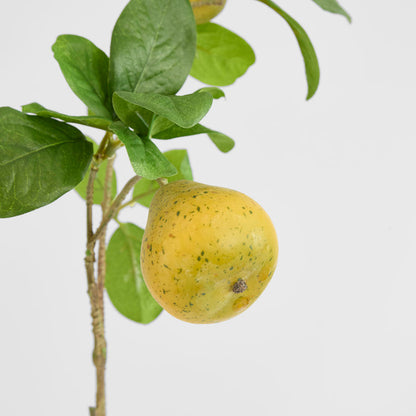 Pears Branch Spray Green 60cm 6 pcs