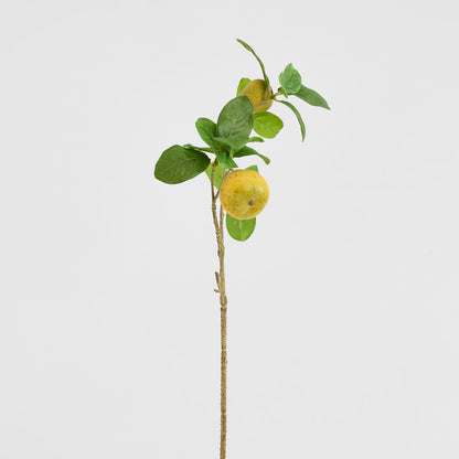 Pears Branch Spray Green 60cm 6 pcs