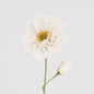 Poppy Stem 75cm White 6 pcs
