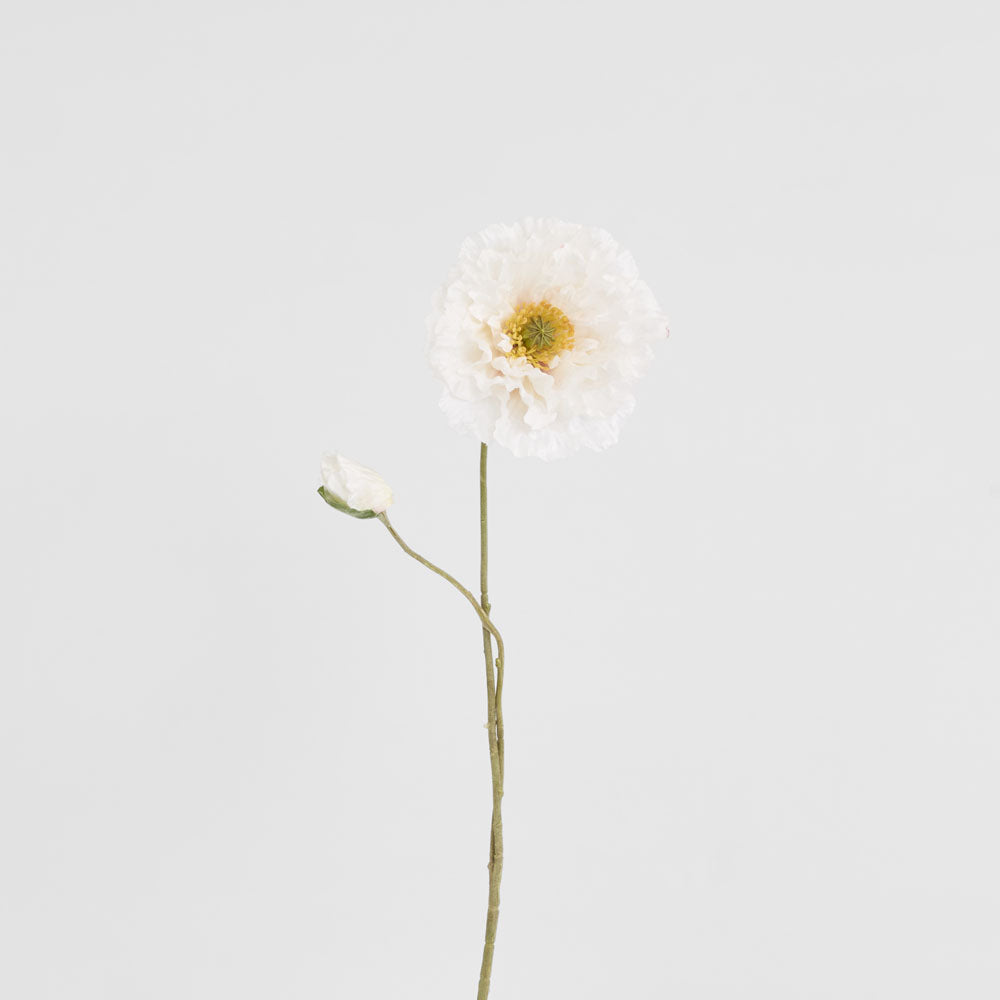 Poppy Stem 75cm White 6 pcs