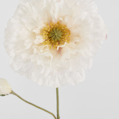 Poppy Stem 75cm White 6 pcs