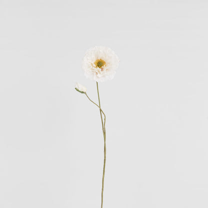 Poppy Stem 75cm White 6 pcs