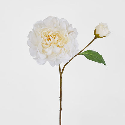 Peony Stem 61cm White 8 pcs
