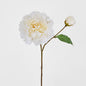 Peony Stem 61cm White 8 pcs