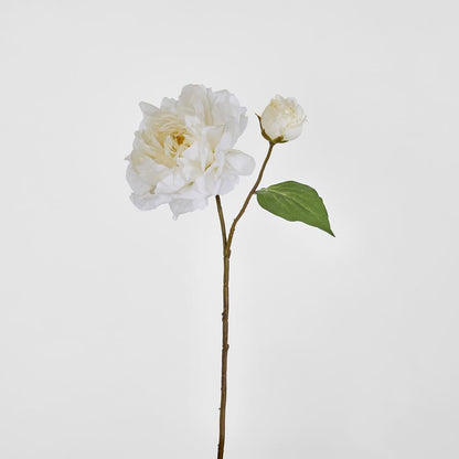 Peony Stem 61cm White 8 pcs