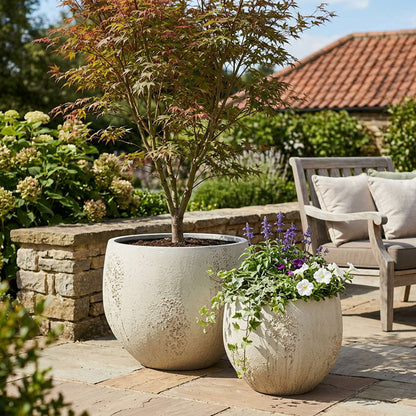 Oyster Planter SML Chalk
