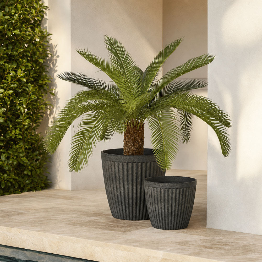 Elwood Planters Black