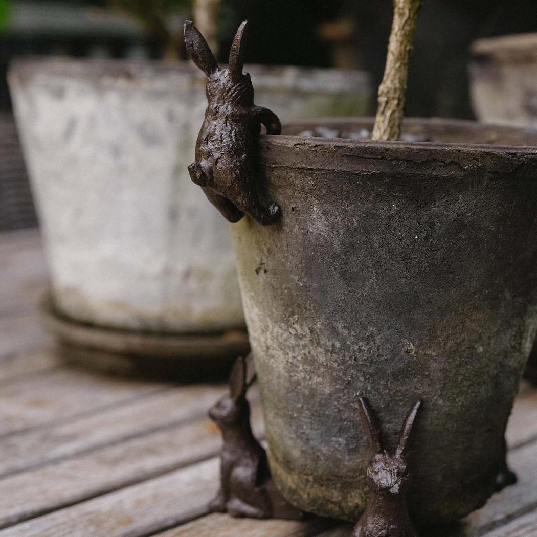 Benny Hare Cast Iron Pot Hugger 6 pcs